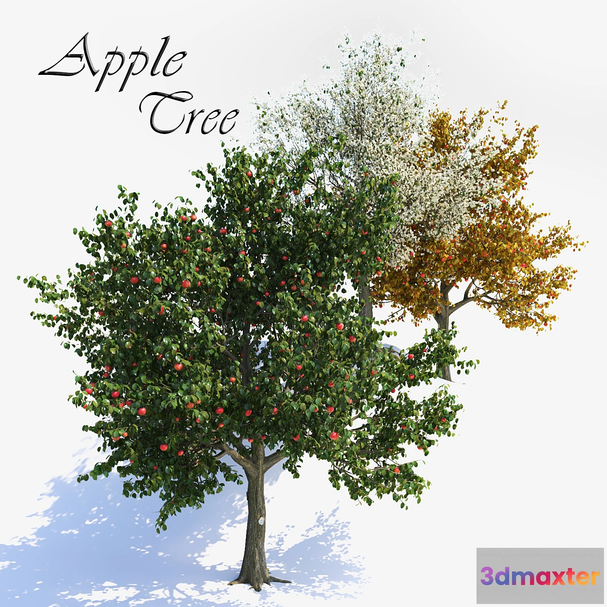 1301957 - Apple Tree 1 3D Max