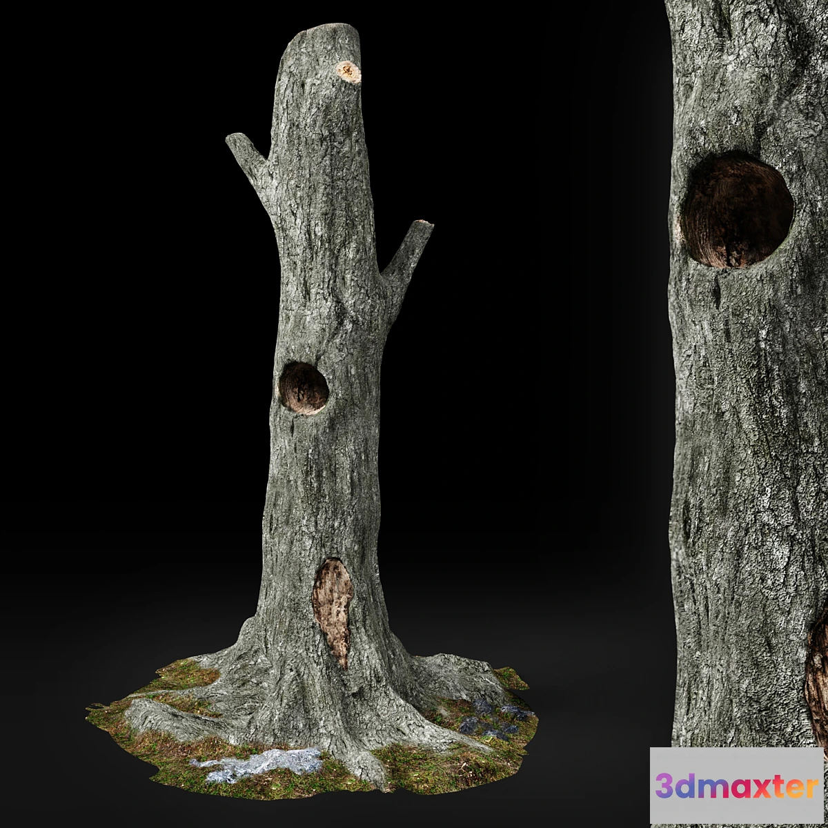 1304277 - Dead tree Chestnut 3D Max