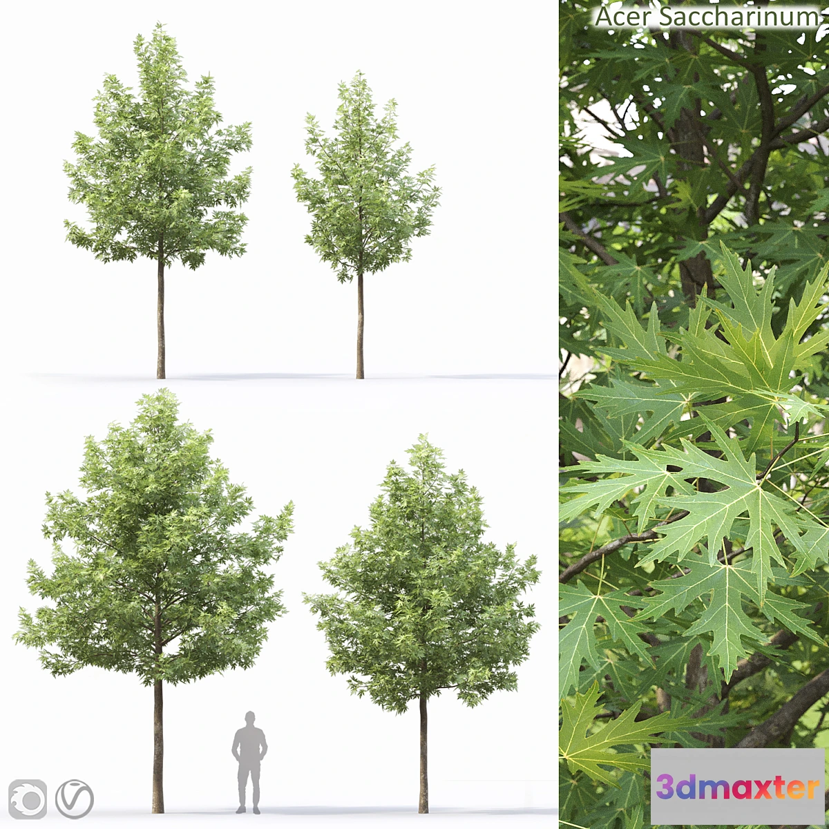 1312167 - Acer - No.5 3D Max