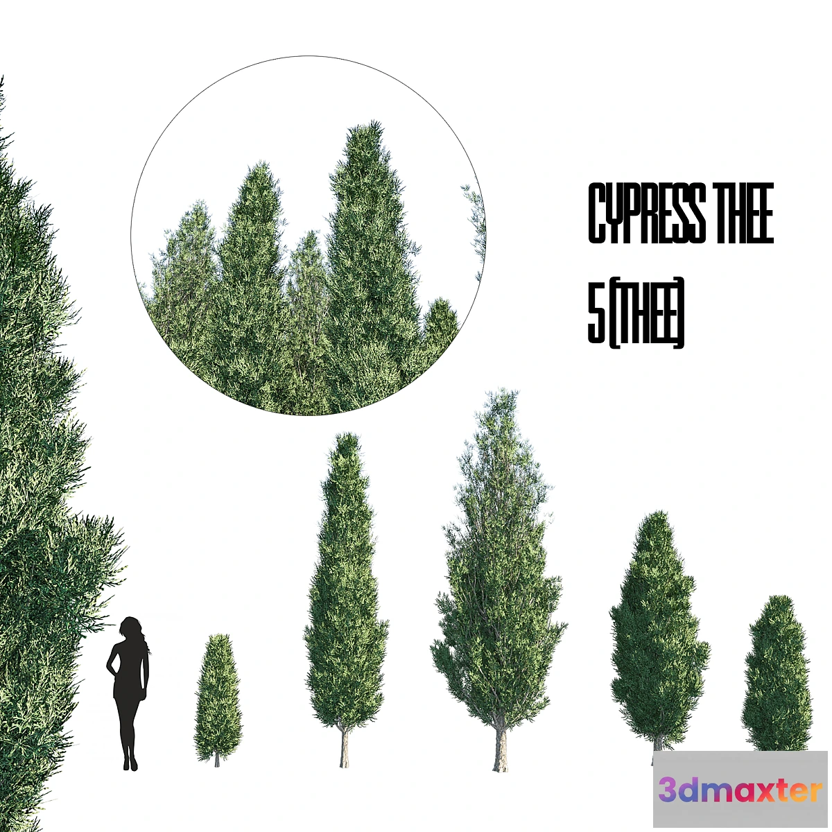 1324313 - cypress thee set 1 3D Max