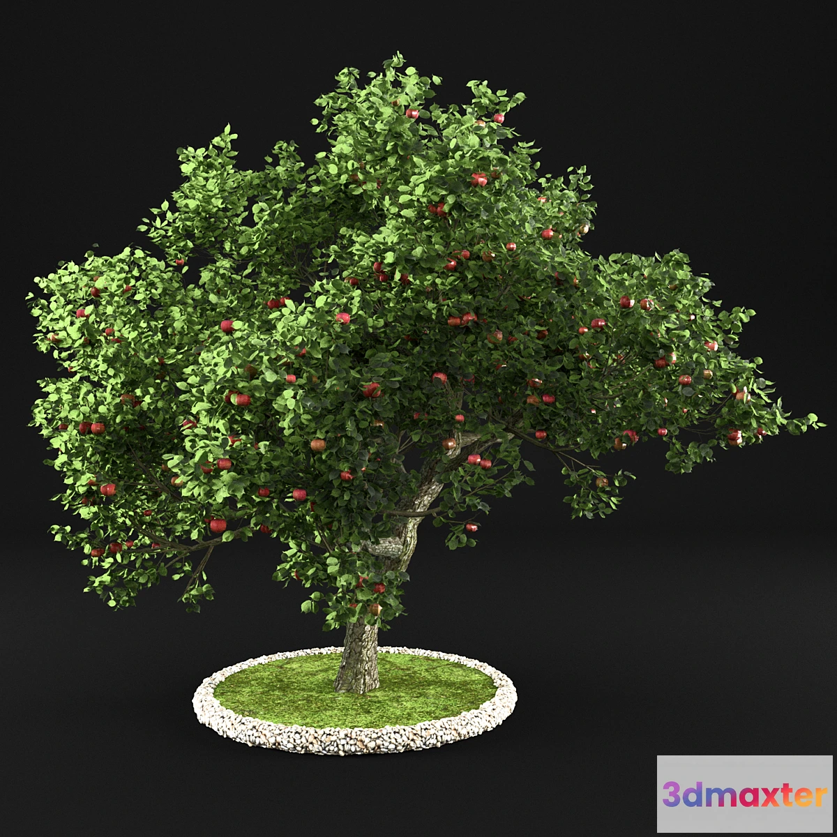 1325850 - Apple Tree 3D Max