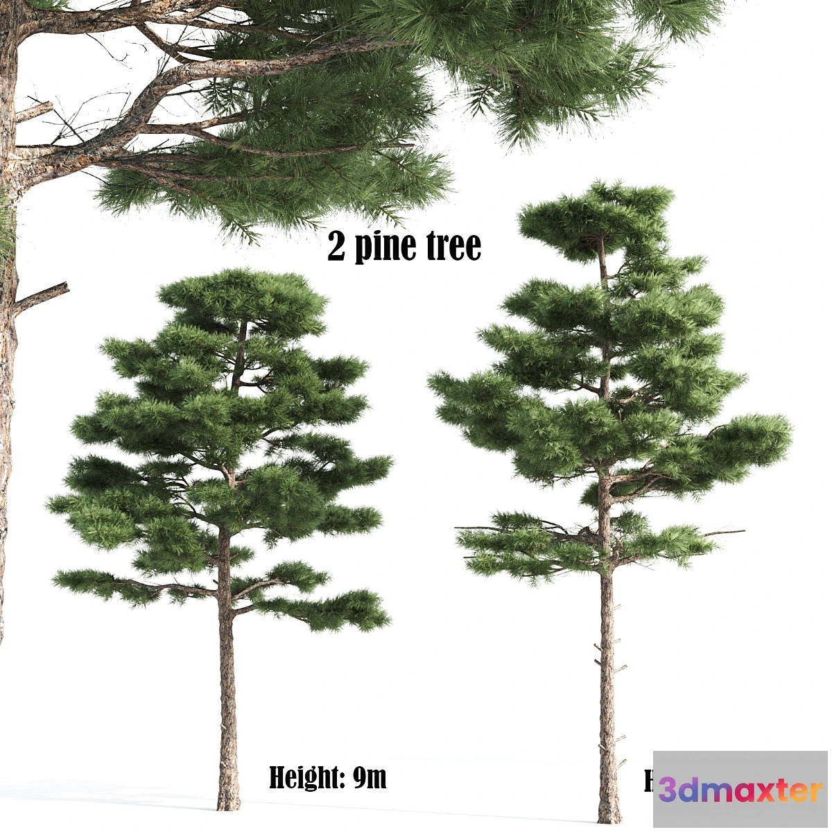 1335330 - 2 pine vray 3D Max