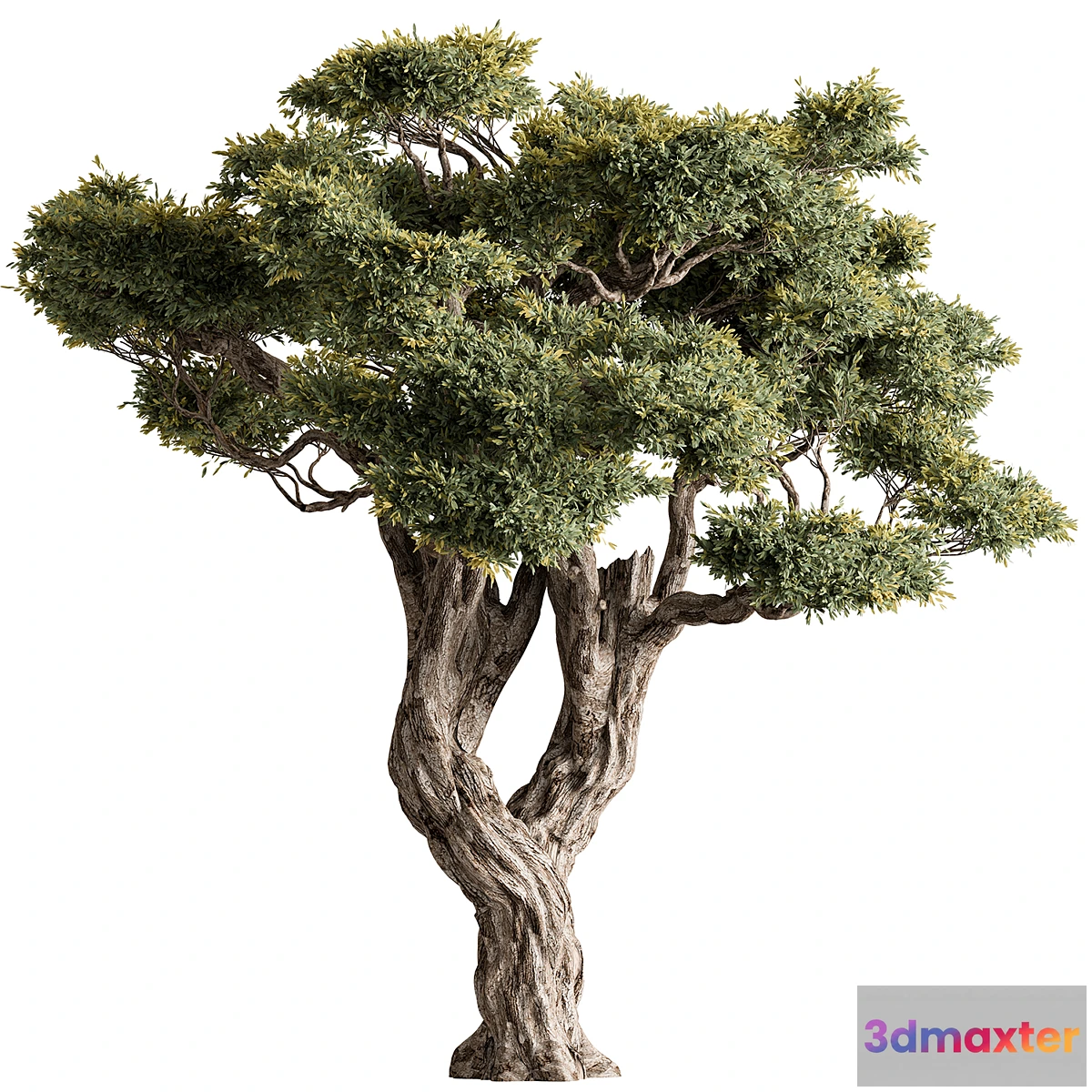 1341255 - Ola Tree Set 294 3D Max