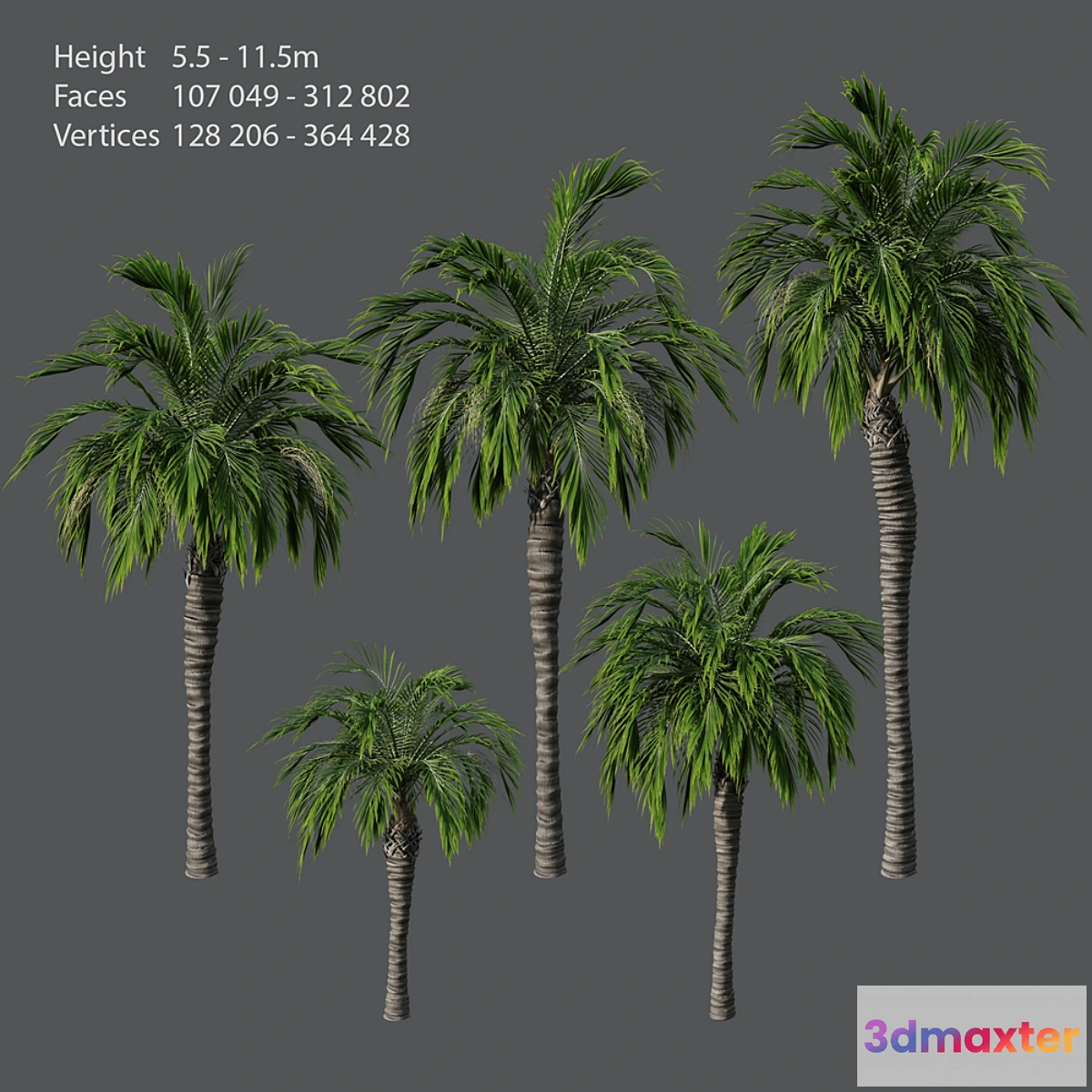 1348866 - Set of palm trees 3D Max