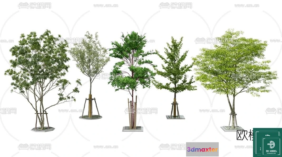 1364413 - Tree 3D Models - Exterior and Architecture 3DS Max - 002 3D Max