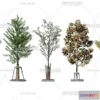 1364556 - Tree 3D Models - Exterior and Architecture 3DS Max - 004 3D Max