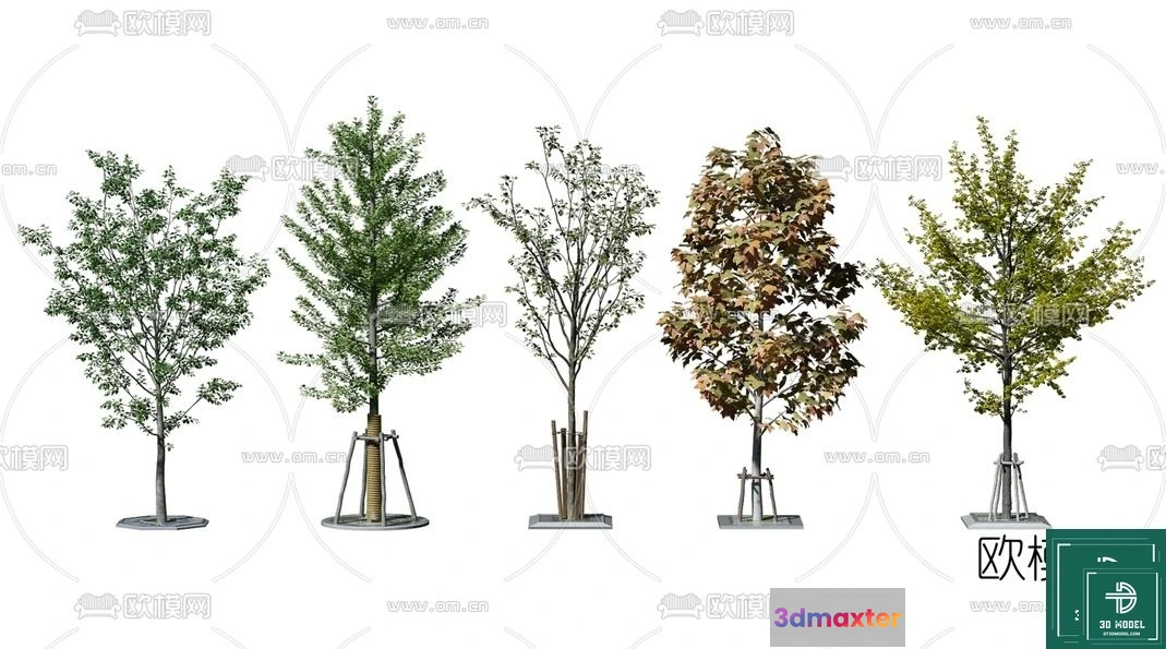 1364556 - Tree 3D Models - Exterior and Architecture 3DS Max - 004 3D Max