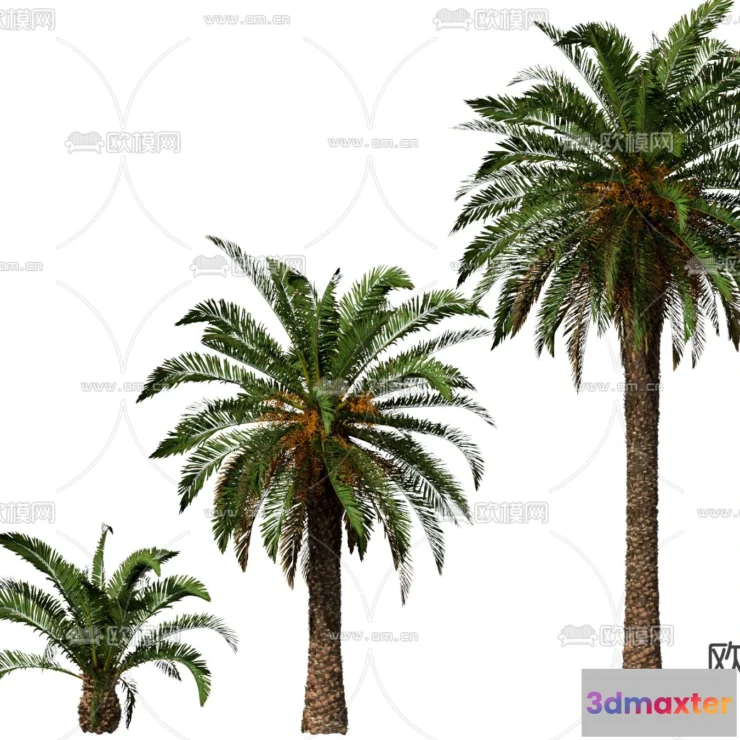 1365584 - Tree 3D Models - Exterior and Architecture 3DS Max - 019 3D Max