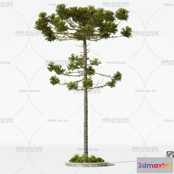 1365914 - Tree 3D Models - Exterior and Architecture 3DS Max - 024 3D Max