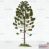 1365978 - Tree 3D Models - Exterior and Architecture 3DS Max - 025 3D Max