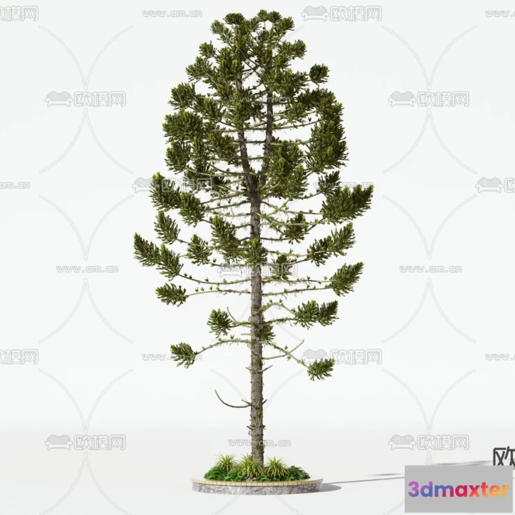 1365978 - Tree 3D Models - Exterior and Architecture 3DS Max - 025 3D Max