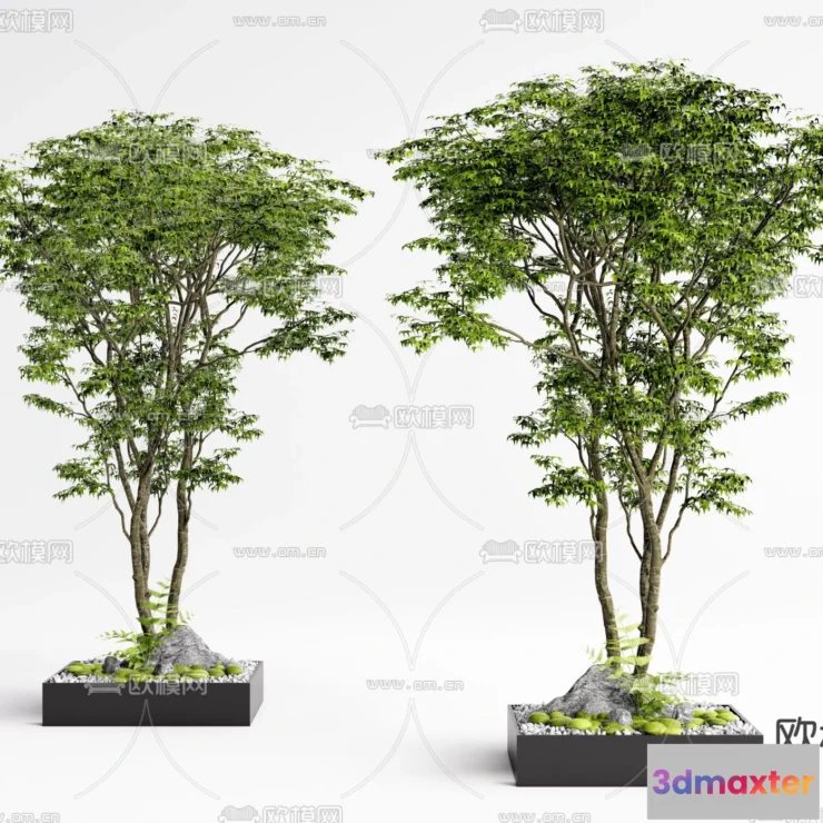 1366258 - Tree 3D Models - Exterior and Architecture 3DS Max - 029 3D Max