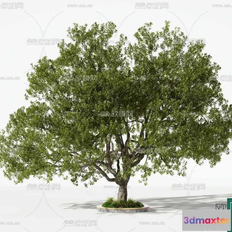 1366454 - Tree 3D Models - Exterior and Architecture 3DS Max - 032 3D Max