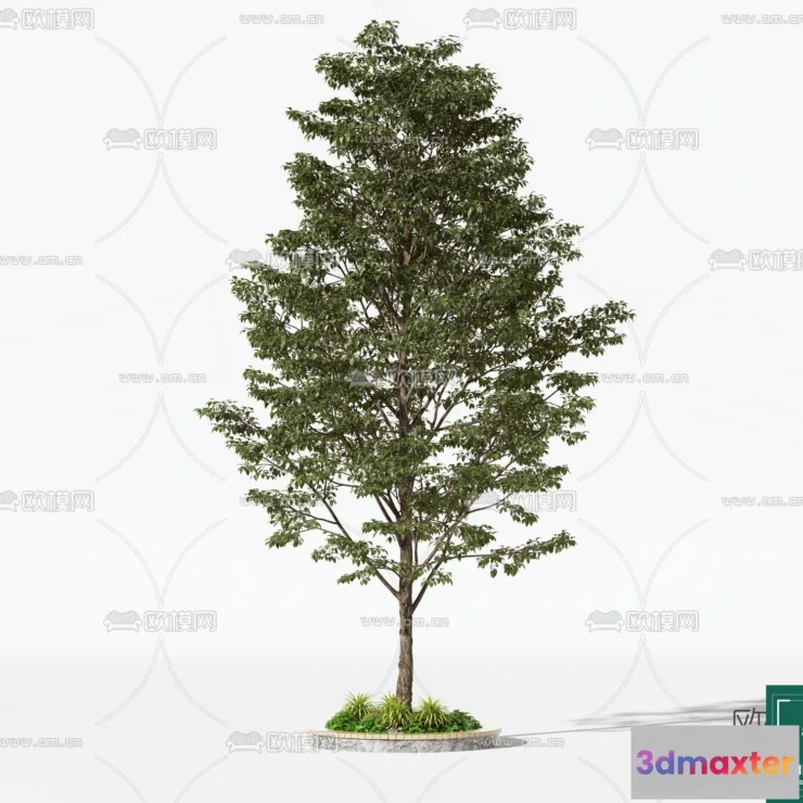 1366572 - Tree 3D Models - Exterior and Architecture 3DS Max - 034 3D Max