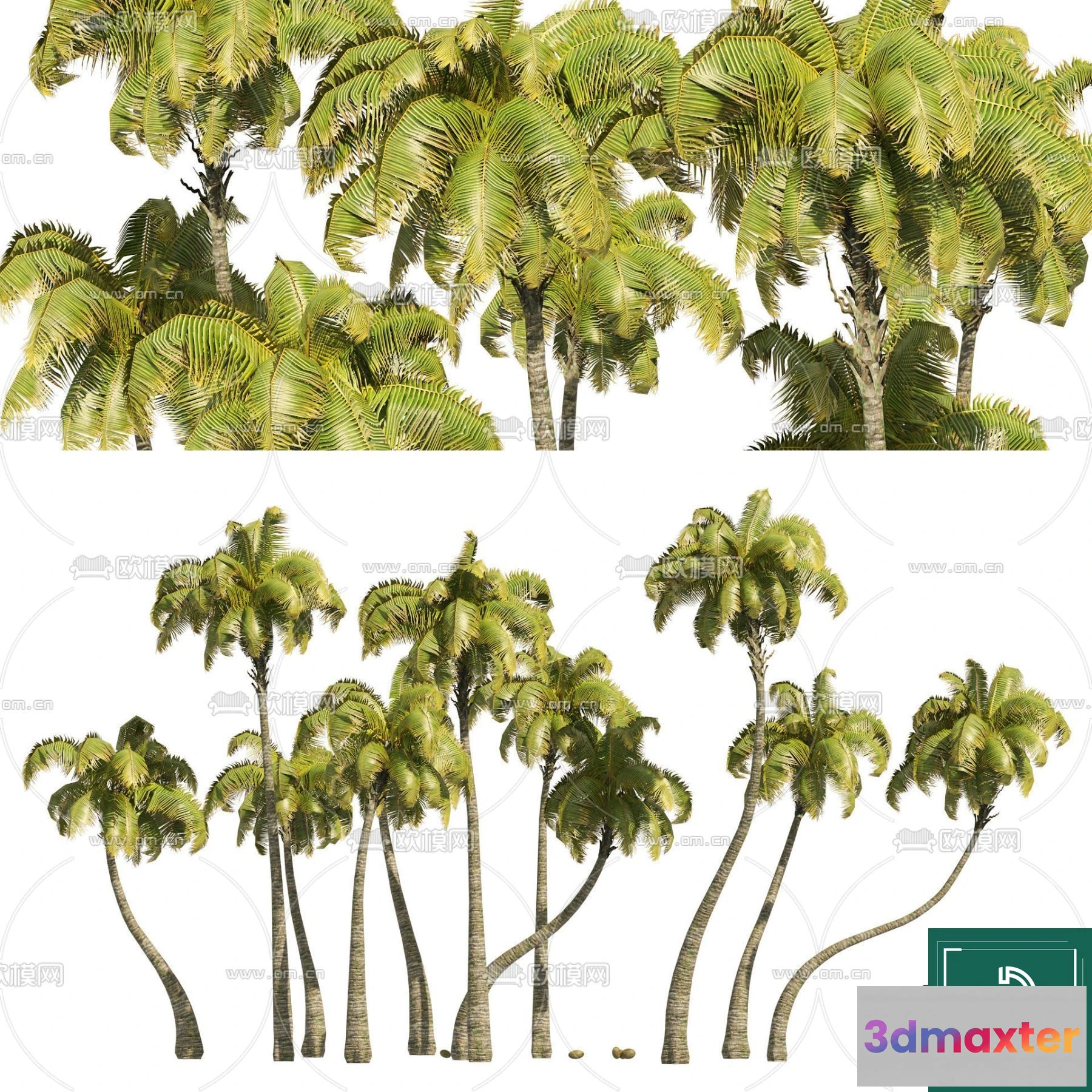 1366847 - Tree 3D Models - Exterior and Architecture 3DS Max - 038 3D Max