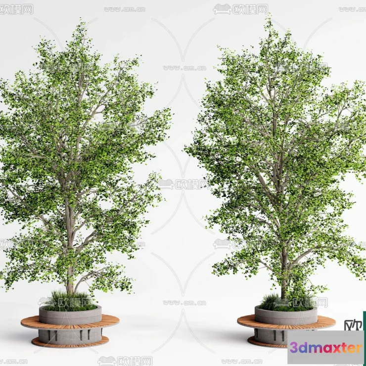 1366919 - Tree 3D Models - Exterior and Architecture 3DS Max - 039 3D Max