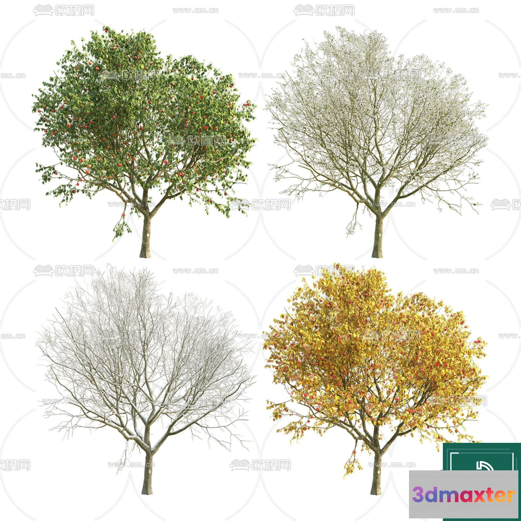 1367237 - Tree 3D Models - Exterior and Architecture 3DS Max - 044 3D Max