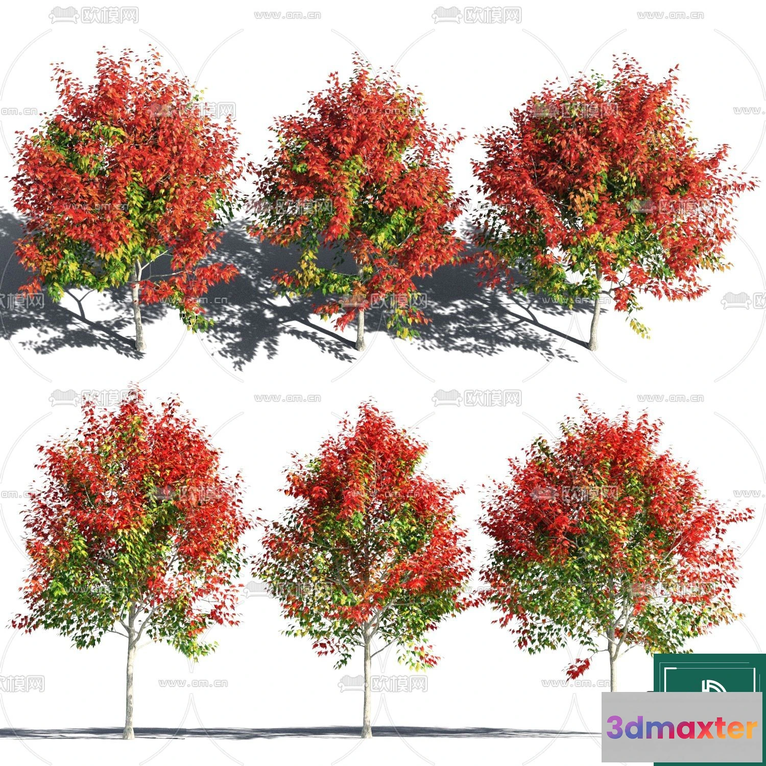 1368127 - Tree 3D Models - Exterior and Architecture 3DS Max - 057 3D Max