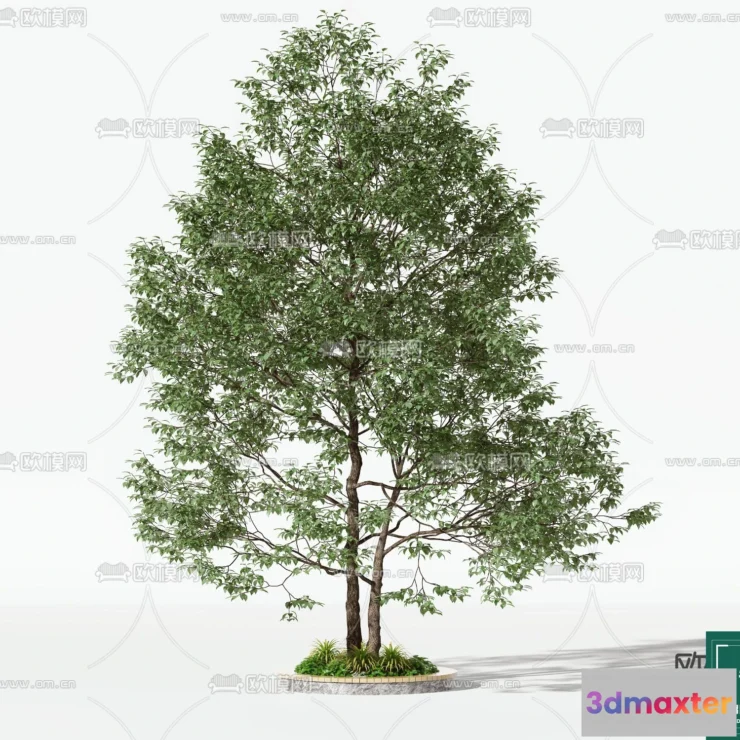 1368662 - Tree 3D Models - Exterior and Architecture 3DS Max - 065 3D Max