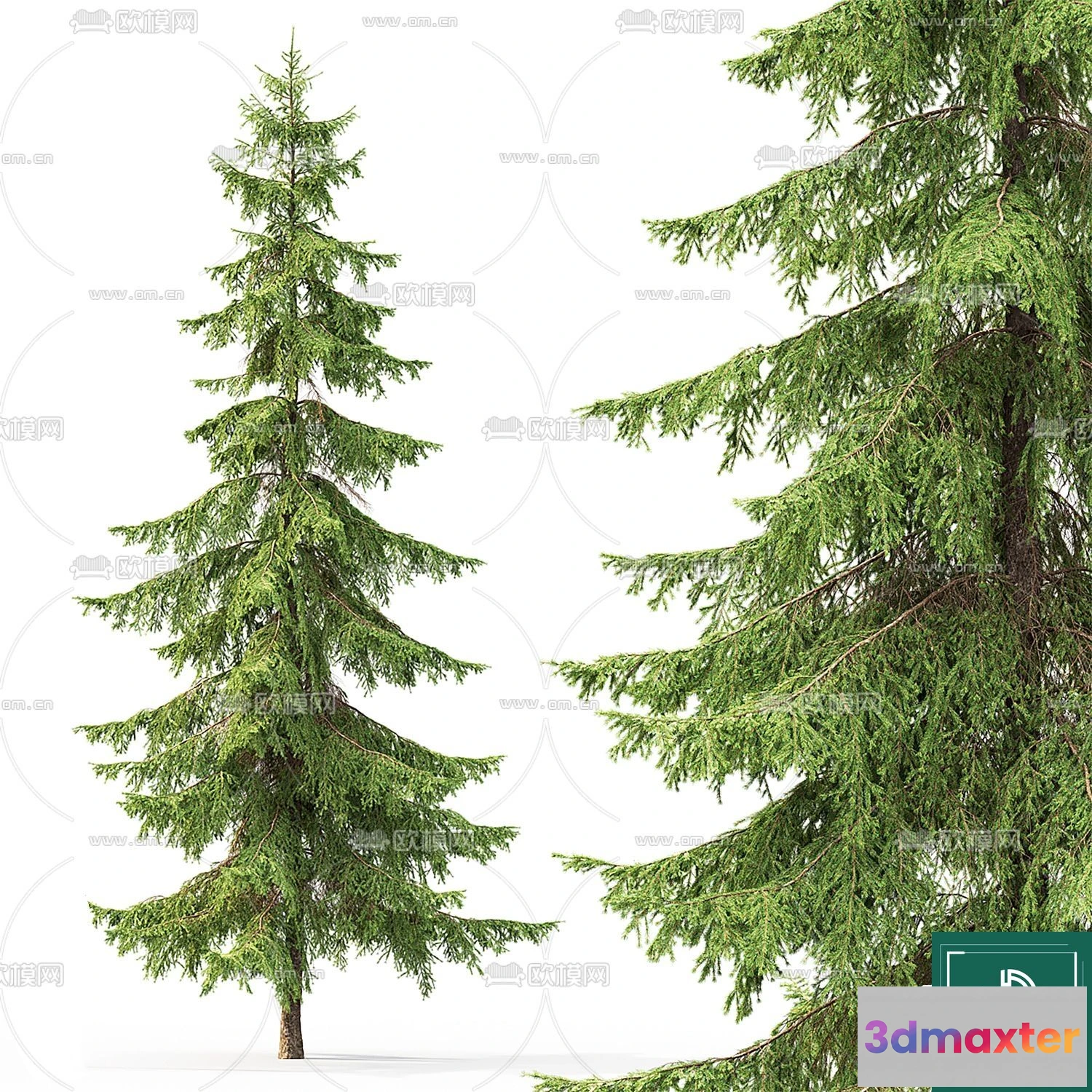1369146 - Tree 3D Models - Exterior and Architecture 3DS Max - 072 3D Max