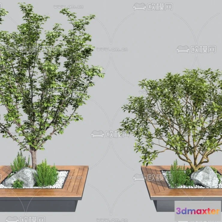 1369626 - Tree 3D Models - Exterior and Architecture 3DS Max - 079 3D Max