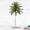 1369687 - Tree 3D Models - Exterior and Architecture 3DS Max - 080 3D Max