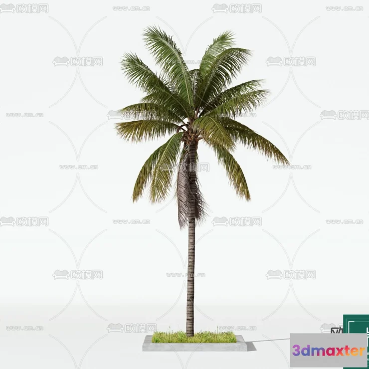 1369752 - Tree 3D Models - Exterior and Architecture 3DS Max - 081 3D Max