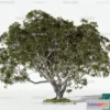 1369874 - Tree 3D Models - Exterior and Architecture 3DS Max - 083 3D Max