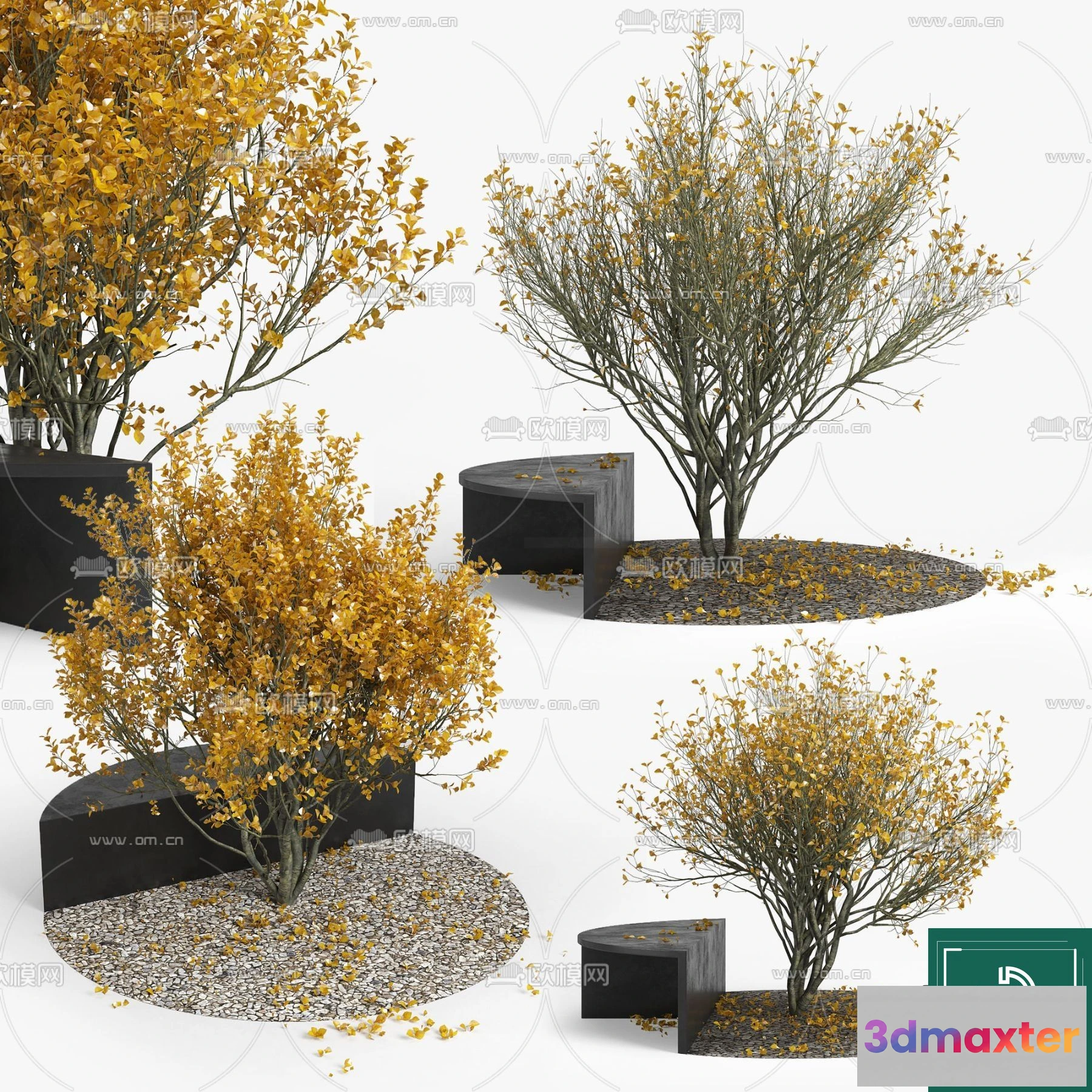 1370340 - Tree 3D Models - Exterior and Architecture 3DS Max - 090 3D Max