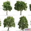 1370620 - Tree 3D Models - Exterior and Architecture 3DS Max - 094 3D Max