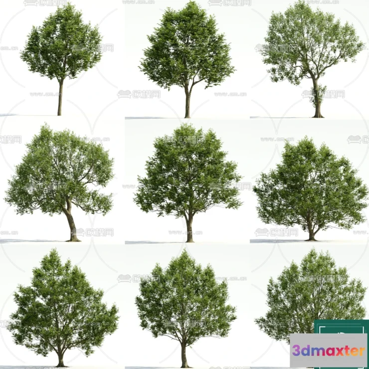 1370688 - Tree 3D Models - Exterior and Architecture 3DS Max - 095 3D Max