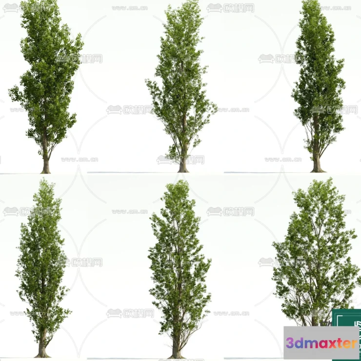 1370752 - Tree 3D Models - Exterior and Architecture 3DS Max - 096 3D Max