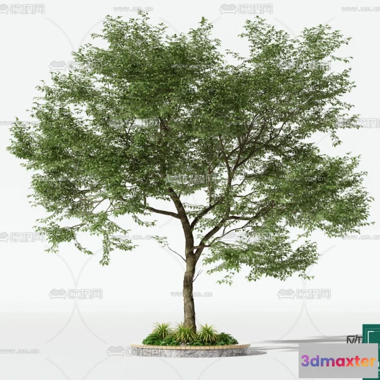 1370881 - Tree 3D Models - Exterior and Architecture 3DS Max - 098 3D Max