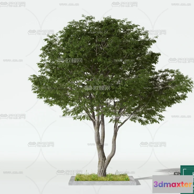 1371254 - Tree 3D Models - Exterior and Architecture 3DS Max - 104 3D Max