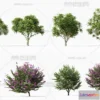 1371319 - Tree 3D Models - Exterior and Architecture 3DS Max - 105 3D Max