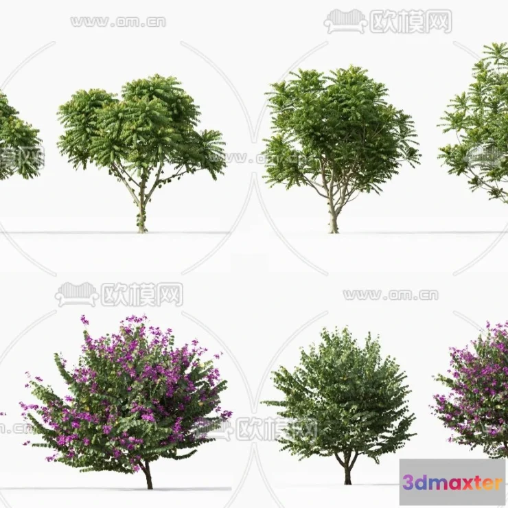 1371319 - Tree 3D Models - Exterior and Architecture 3DS Max - 105 3D Max