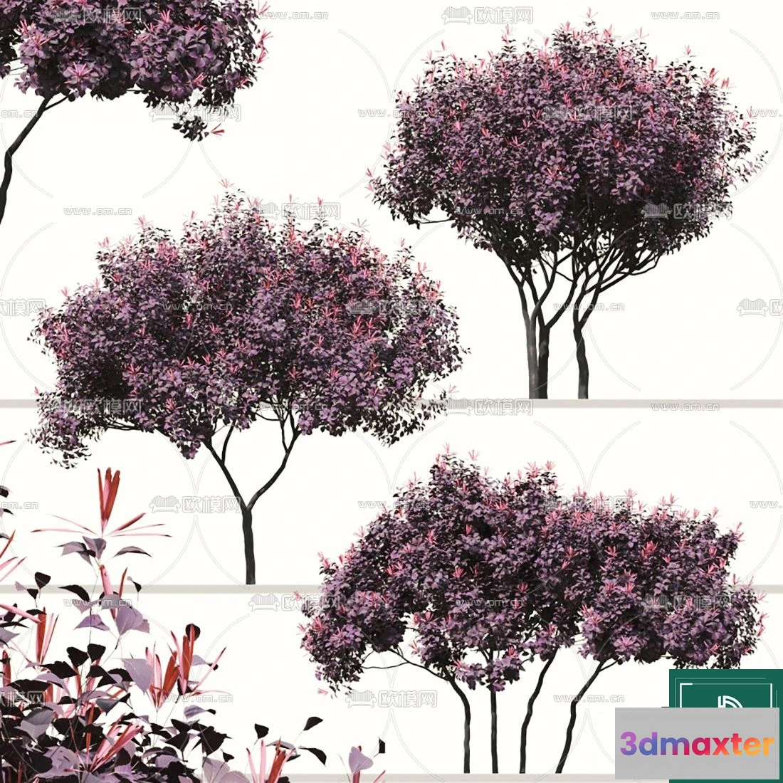 1371384 - Tree 3D Models - Exterior and Architecture 3DS Max - 106 3D Max