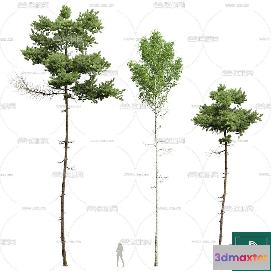 1371889 - Tree 3D Models - Exterior and Architecture 3DS Max - 114 3D Max