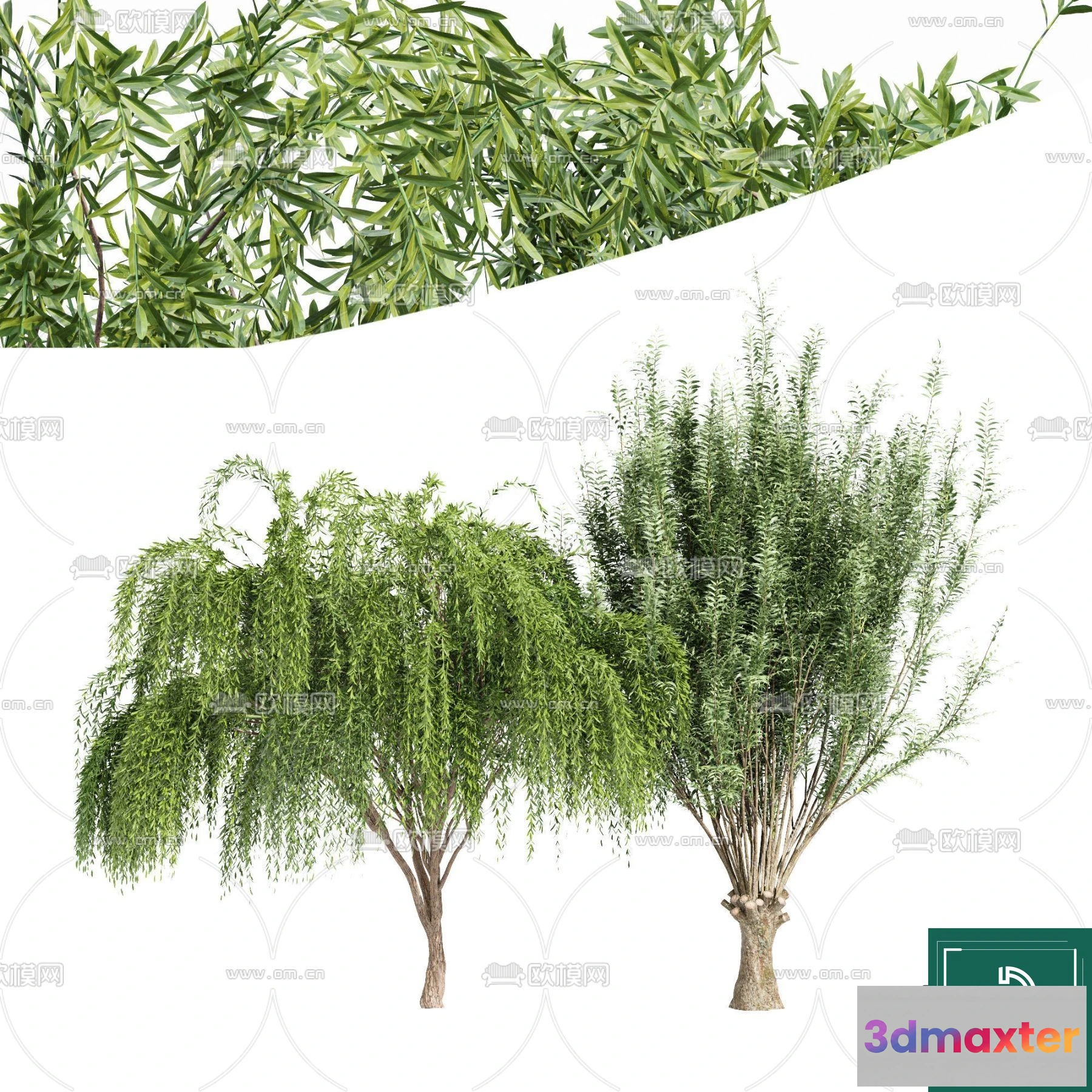 1372033 - Tree 3D Models - Exterior and Architecture 3DS Max - 116 3D Max