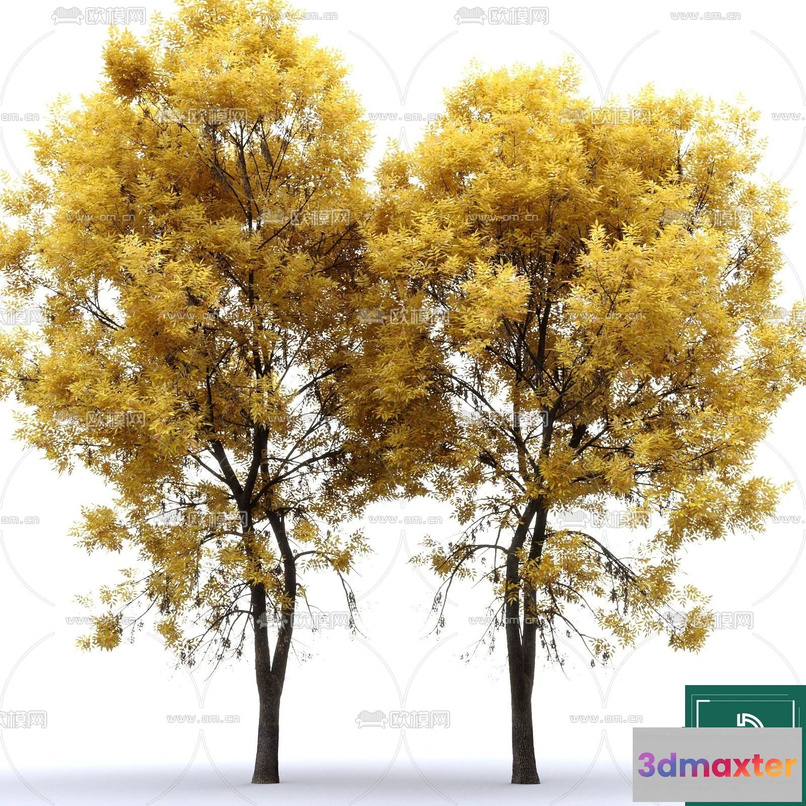 1372223 - Tree 3D Models - Exterior and Architecture 3DS Max - 119 3D Max