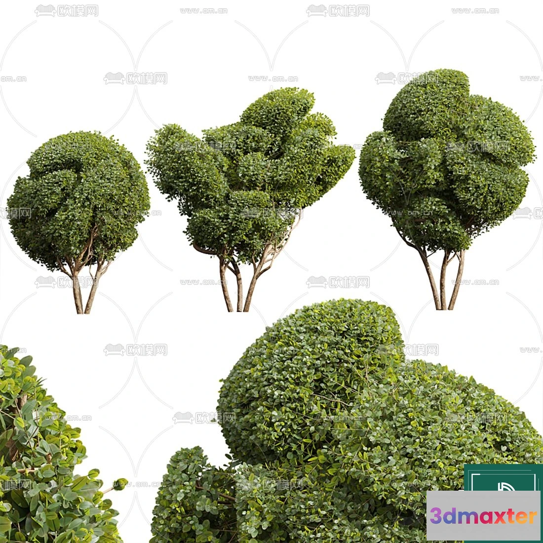 1372285 - Tree 3D Models - Exterior and Architecture 3DS Max - 120 3D Max