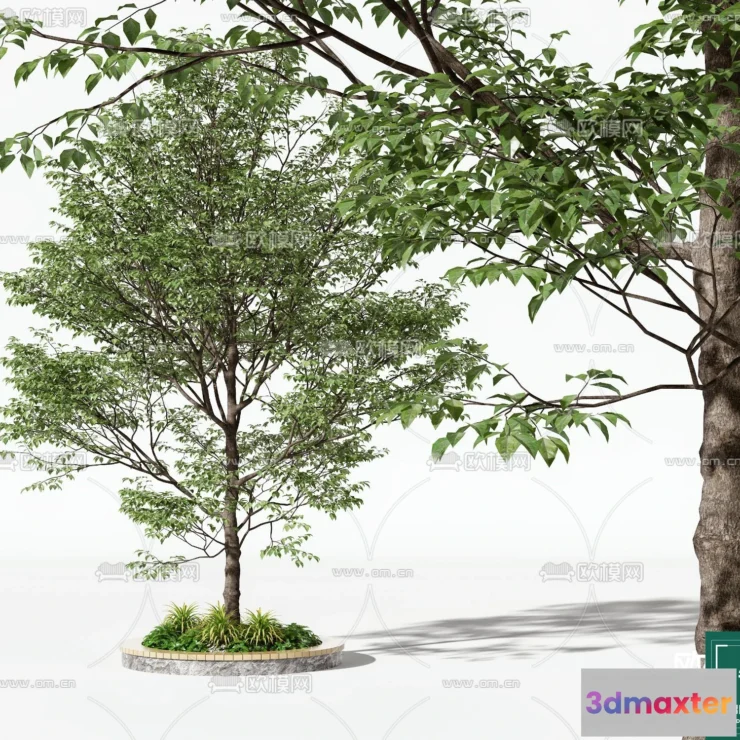 1372351 - Tree 3D Models - Exterior and Architecture 3DS Max - 121 3D Max