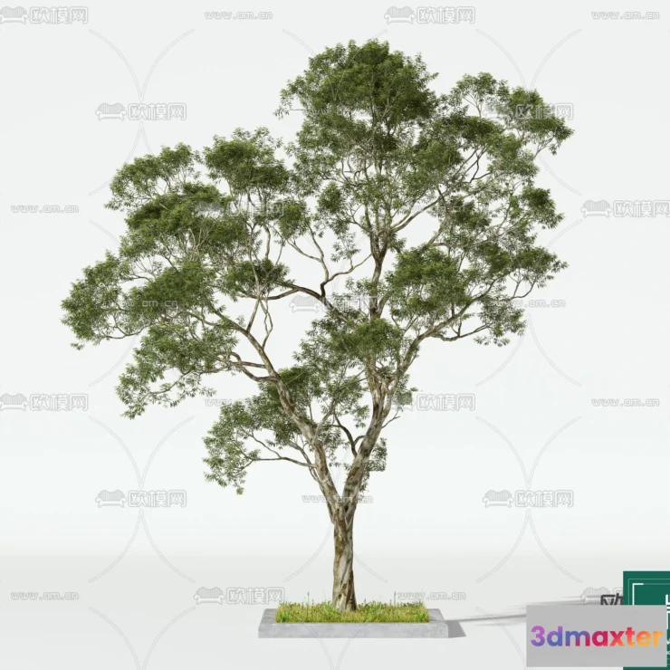 1372547 - Tree 3D Models - Exterior and Architecture 3DS Max - 124 3D Max