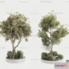1372695 - Tree 3D Models - Exterior and Architecture 3DS Max - 126 3D Max