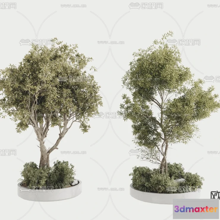 1372695 - Tree 3D Models - Exterior and Architecture 3DS Max - 126 3D Max