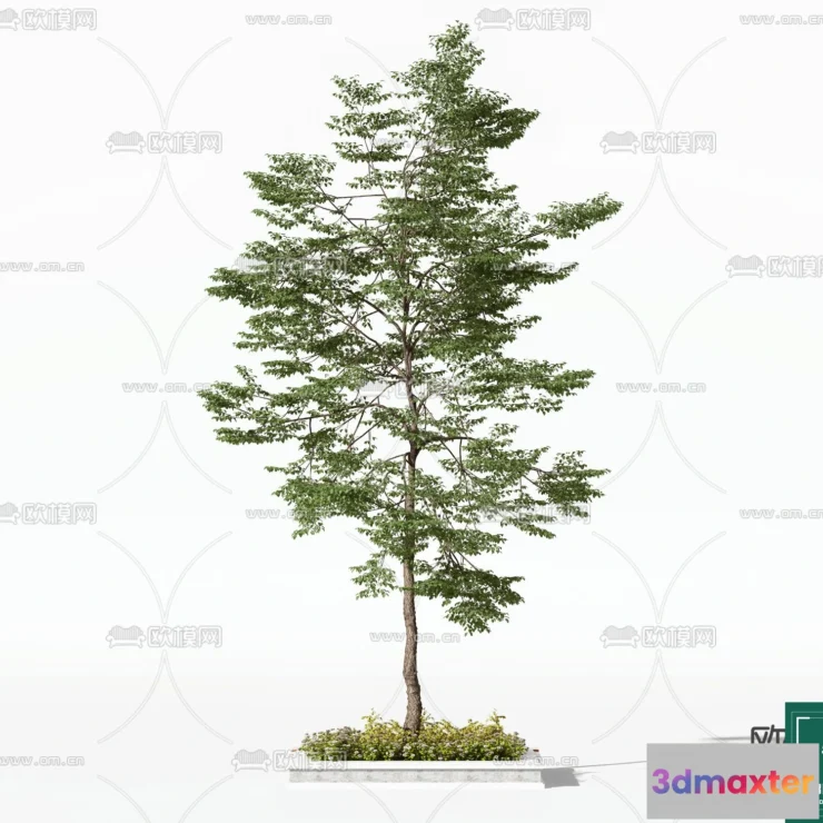 1372813 - Tree 3D Models - Exterior and Architecture 3DS Max - 128 3D Max