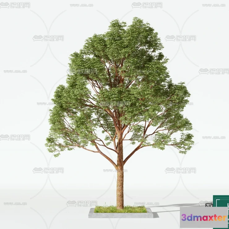 1372877 - Tree 3D Models - Exterior and Architecture 3DS Max - 129 3D Max