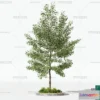 1373069 - Tree 3D Models - Exterior and Architecture 3DS Max - 132 3D Max