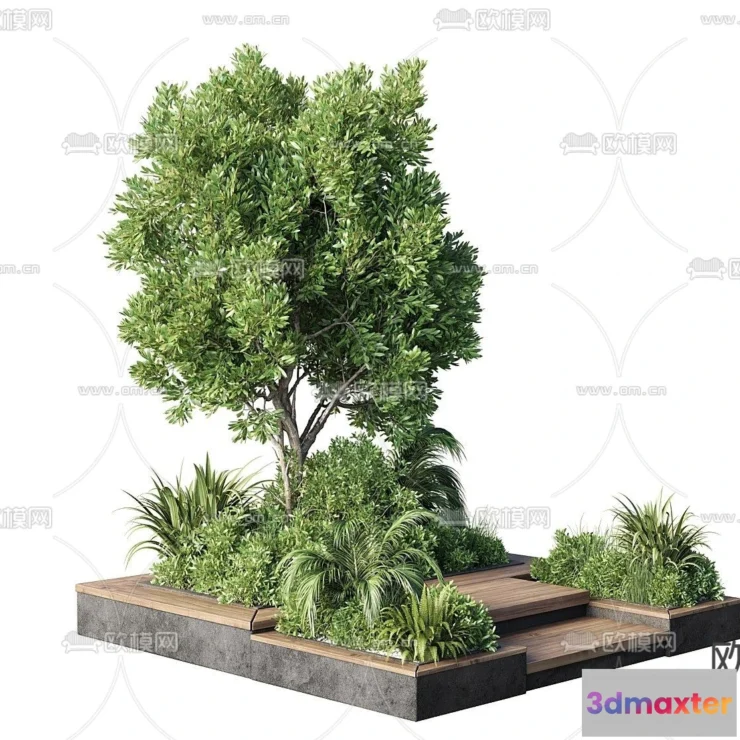 1373251 - Tree 3D Models - Exterior and Architecture 3DS Max - 135 3D Max