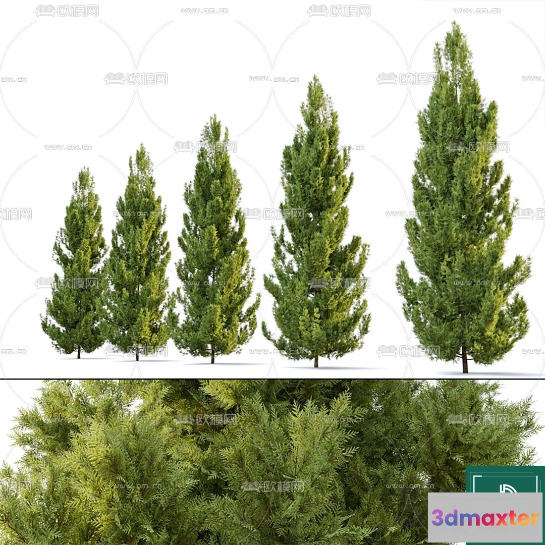 1373321 - Tree 3D Models - Exterior and Architecture 3DS Max - 136 3D Max